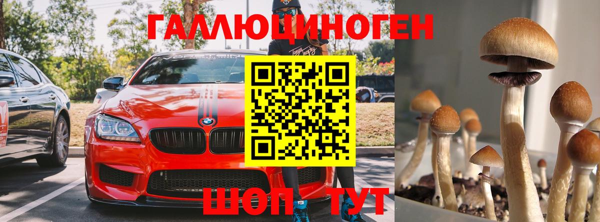 Галлюциногенные грибы мицелий  Вход с VPN  Гудермес 